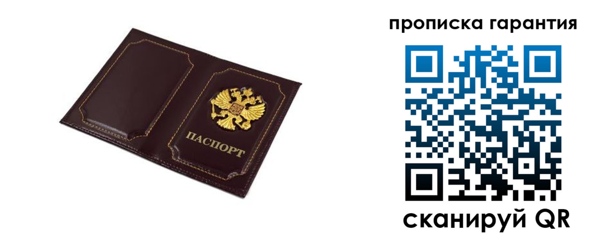 прописка поиск в Клинцах