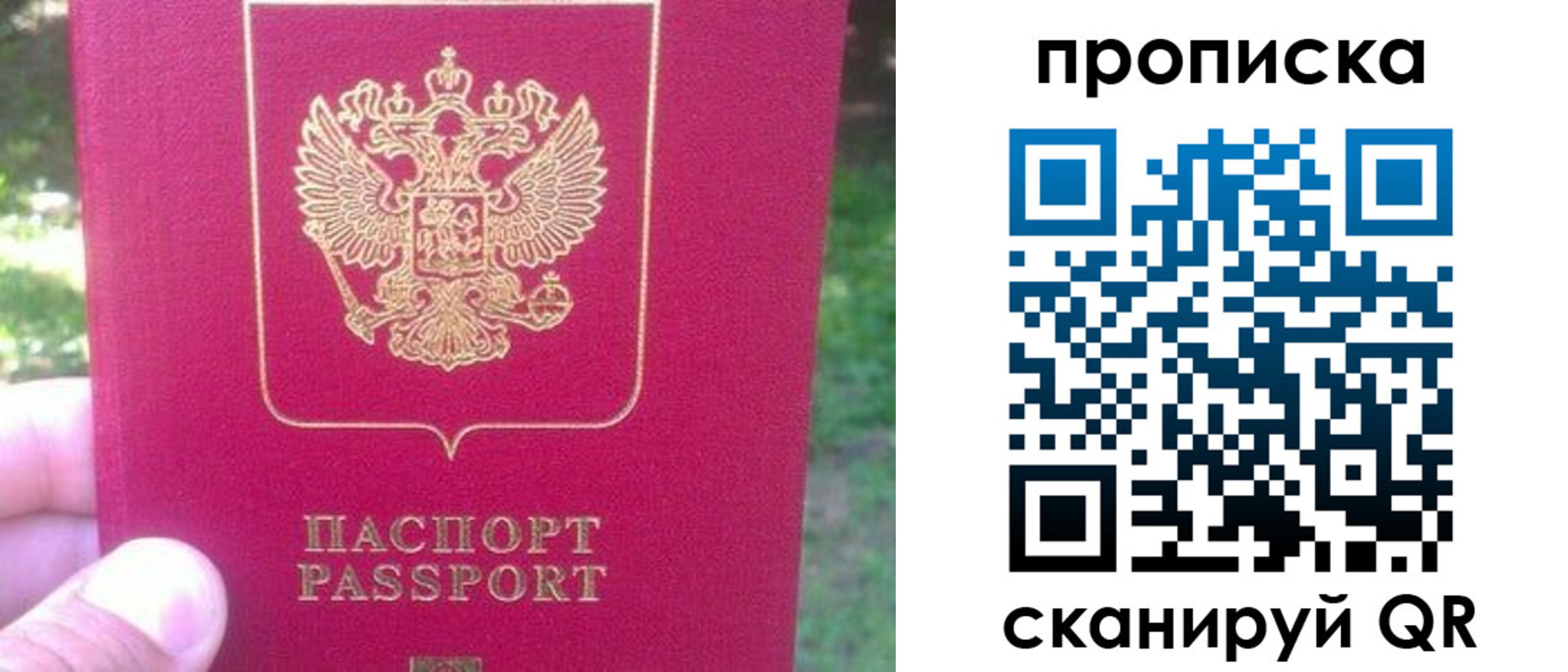 прописка законно в Клинцах